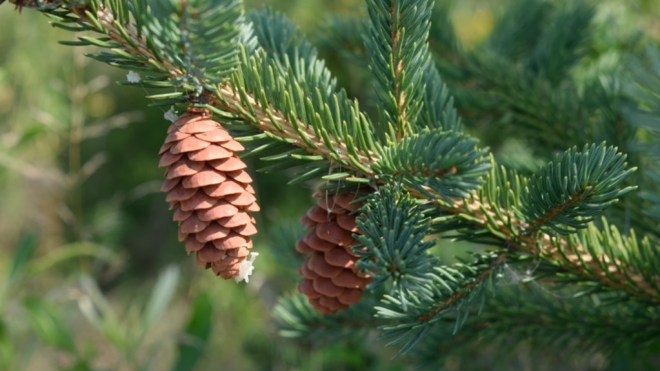 (c) Shuk Han (Nancy) Mak, some rights reserved (CC BY-NC)